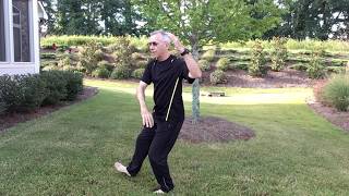 Tai Chi Yang Form 24 Lesson 2 Brush Knee to Play the Lute [upl. by Barnum]