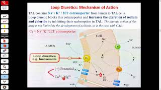 Diuretics 02  Loob Diuretics [upl. by Zilada]