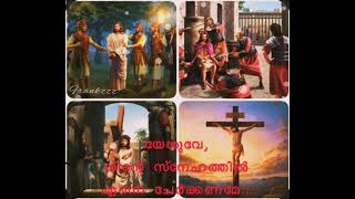 Snehamenna vakkinartham Bhoomiyil  Devotional Malayalam Cover Song  Franklin Jisno Jose [upl. by Atilef]