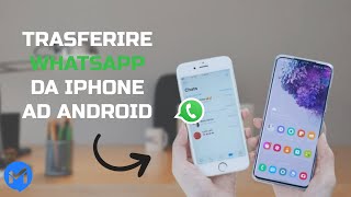 Come Trasferire WhatsApp da iPhone a Android 🚀📱  Guida Passo Passo [upl. by Grange]