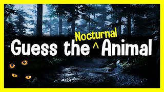 Nocturnal and Diurnal Animals  Grade 46 Science  T Ann [upl. by Illene341]