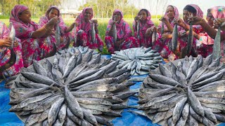 Mackerel Fish Curry  Sea Fish Cooking in Village  Bengali Style Fish Recipe of Ladies [upl. by Jessy]