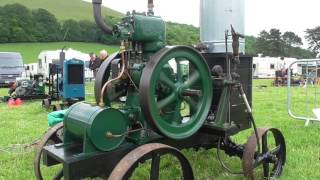 Stationary engines at the Wiltshire steam amp vintage rally Rainscomb Park June 2017 [upl. by Eitisahc]