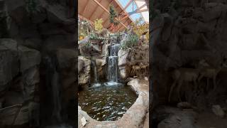 Cabela’s ❤️☀️cabelas bassproshop asmr [upl. by Oiramed582]