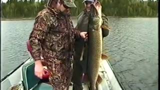 Quebec spring bowhunt for black bearfishing for monster pikePart 1 [upl. by Aisanahta]