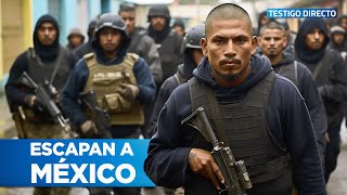 Las Pandillas de El Salvador se refugian en México con el apoyo del Cartel de Sinaloa [upl. by Enirahtac]