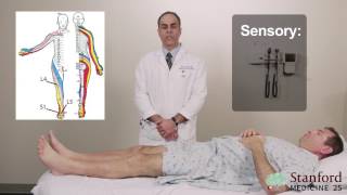 Approach to Low Back Pain Physical Exam  Stanford Medicine 25 [upl. by Davies723]