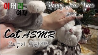 ASMR Cat purring asmr for wishing you a Happy New Year 2019 eng  ita sub  고양이 ASMR 새해 복 많이 받으세요 [upl. by Aneema]