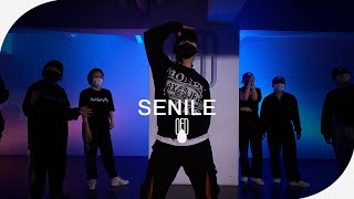 Young Money  Senile ft  Tyga Nicki Minaj Lil Wayne l LEEJUNG LEE Choreography [upl. by Whittemore]