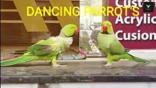 DANCING PARROTS [upl. by Galvan653]