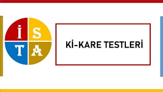 KİKARE TESTLERİ [upl. by Ecirtnahs]