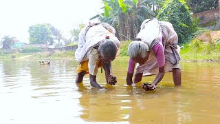 Catching and cooking Oyster  Jhinuk recipe by tribe village grandmothers  how to cook oyster [upl. by Eelsha]