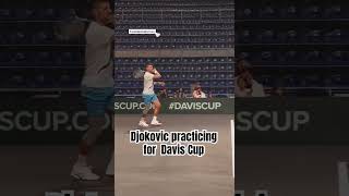 Djokovic practicing in Serbia for Davis Cup vs Greece tennis djokovic daviscup usopen federer [upl. by Benioff98]