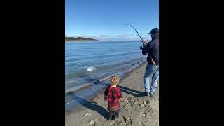 Fishing for Kahawai in New Zealand [upl. by Pickar676]