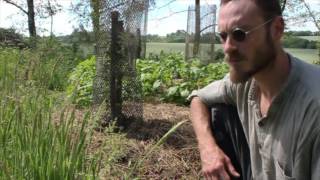 Comprendre le paillage pour la permaculture [upl. by Haley]