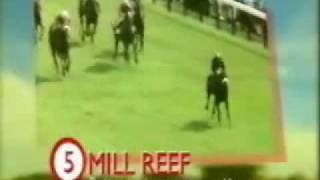 mill reef gimcrack [upl. by Salvadore]