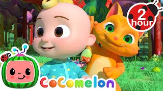 Animal Dance Song 😸  COCOMELON 🍉  Kids Songs  Nursery Rhymes  Sleep Baby Songs [upl. by Ardnaek]