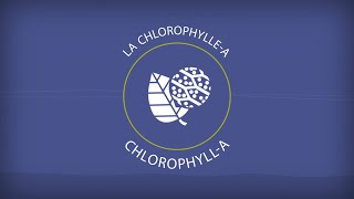 La chlorophyllea  Chlorophylla [upl. by Esened]