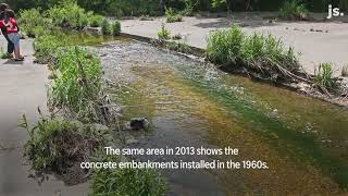 Kinnickinnic River in Milwaukee rebounds after restoration efforts [upl. by Oeniri]