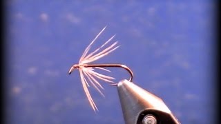 Fly Tying with Hen Hackle Tips and Techniques [upl. by Hgielyk]