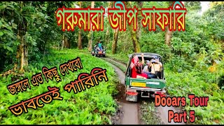 Gorumara Jungle Safari II Visit to Gorumara National Park Lataguri II Gorumara Jeep Safari Guide II [upl. by Rennoc]