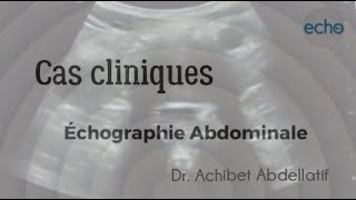 Dr Achibet Abdellatif  formation ECHOGRAPHIE ABDOMINALE [upl. by Fowkes326]