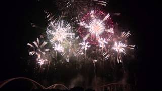 豊田おいでん花火まつり 2013 メロディ花火～フィナーレBeautiful Fireworks 2013Oiden ToyotaJapan [upl. by Rephotsirhc]