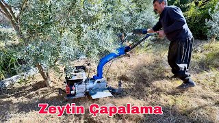 Yavuz Çapa Makinesi İle Zeytin Bakımı  Ağaç Çapalama Yapıyoruz [upl. by Keating]