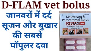 Meloxicam and paracetamol bolus ke kya upyog haid flam bolus uses in hindimelonax plus bolus uses [upl. by Luhey]