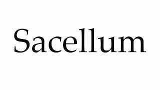 How to Pronounce Sacellum [upl. by Novehc656]