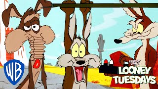 Looney Tuesdays  Ralph VS Wile E Coyote  Looney Tunes  wbkids [upl. by Airitak]