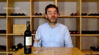 Andreas Wine Conversations Montepulciano dAbruzzo [upl. by Arbe]