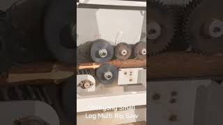 woodworking machine for cutting small round log [upl. by Cirda909]