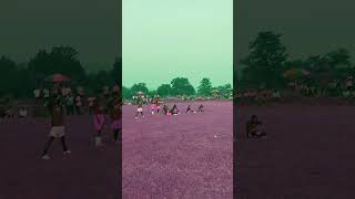 Awesome Save Penalties ytshorts football cricket [upl. by Eppillihp]