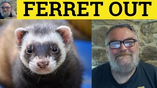 🔵 Ferret Out Meaning  Ferret Out Examples  Ferret Out Definition  Ferret Out  Phrasal Verbs CAE [upl. by Jezabella]