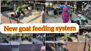 Goat feeding system  goat feeder  goat feeder kaise banaye [upl. by Amatruda]