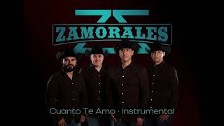 ZAMORALES  CUANTO TE AMO instrumental [upl. by Oglesby602]