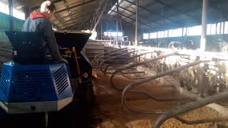 Kalk water stro strooien in ligboxenstal  Instrooimachine Agricom [upl. by Lavicrep]