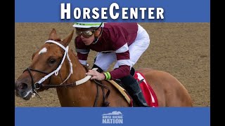 Gun Runner and Untapable top picks on HorseCenter [upl. by Nylloh493]