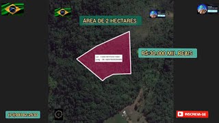 Sítio a vendaárea de 248 hectares em Ilhéus  Bahia R 30000 MIL  COMECE SEU SÍTIO DO ZERO [upl. by Nimzaj]