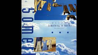 Something In The Air Something In The Air 1993 Album [upl. by Sulrac151]