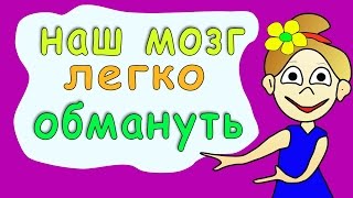 Не верь своим глазам 2 😲 Бабушка Шошо иллюзии  тест на внимательность [upl. by Ssyla]