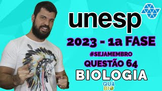 UNESP 2023  Questão 64  Leia o poema “Pneumotórax” do poeta Manuel Bandeira 18861968 [upl. by Amluz]