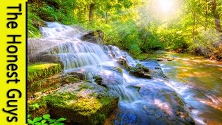 8 HOURS Relaxing Nature SoundsSleepStudyMeditationSpa Water Sounds Bird Song [upl. by Ailahtan]