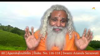 60  Aparokshanubhuti  Swami Ananda Saraswati  Verse No 116 to 118  New Vision  Pranayama [upl. by Odlo259]