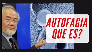 AUTOFAGIA BENEFICIOS Y CÓMO ACTIVARLA autofagia ayuno premionobel [upl. by Nnyroc]