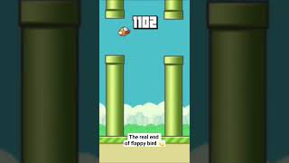 The real end of flappy bird 1000 World Record For Contact  Send a message [upl. by Sorilda895]