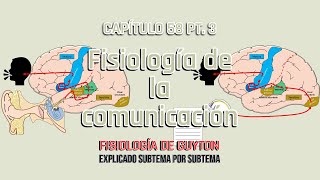 CAP 58 35 Fisiología de la comunicación [upl. by Dina870]