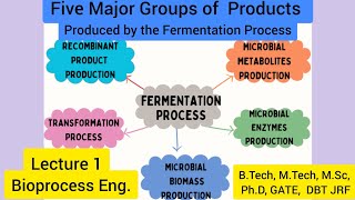 FermentationProduction of BiomassEnzymesMicrobial MetabolitesRecombinant ProductsTransformation [upl. by Eerazed]