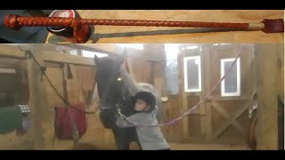 how to make a leather horse riding crop at home [upl. by Ennovad]